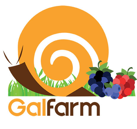 logo_galfarm_def